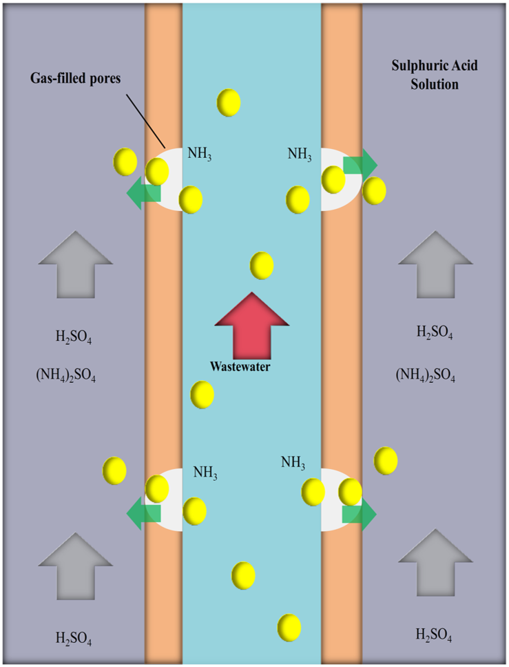 PTFE-TMCS 암모니아 제거 원리