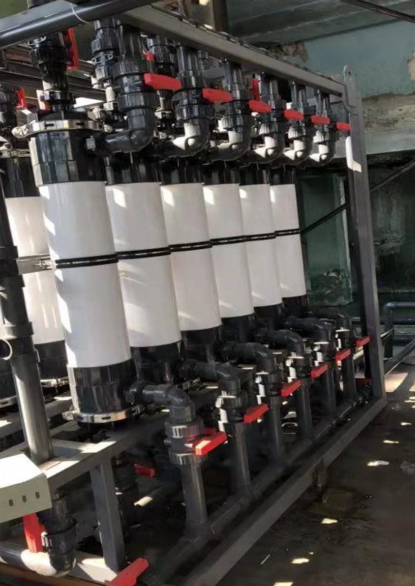 Sichuan Installation 1